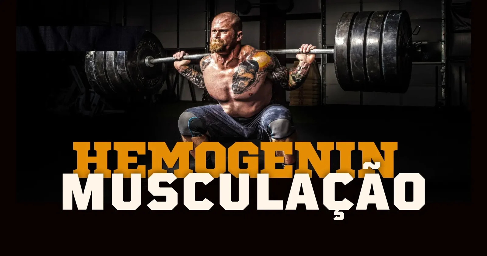 Hemogenin na Musculação